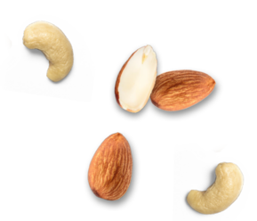 Patiswiss noix