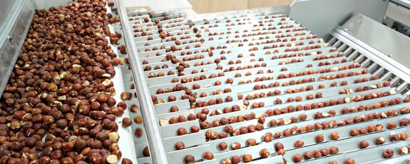 Patiswiss Fremdkörperreinigung