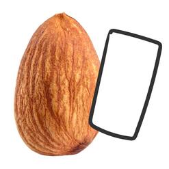 Patiswiss Fachberatung