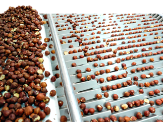 Patiswiss Fremdkörperreinigung