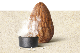 Patiswiss Rauchmandeln