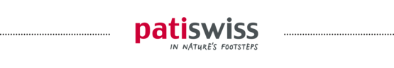 Patiswiss mit Linien